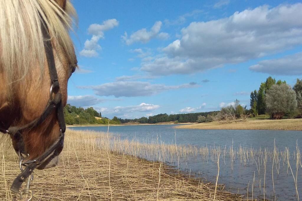 Gite En Pleine Nature Proche Du Lac De La Gimone Saint-Blancard Kültér fotó